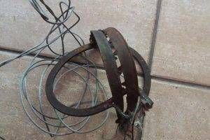 tagliola arese 300x200