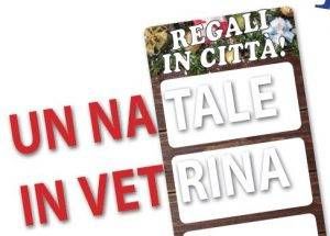 NataleVetrina 300x215