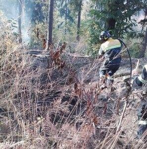 ParcoGroaneVolontari 297x300