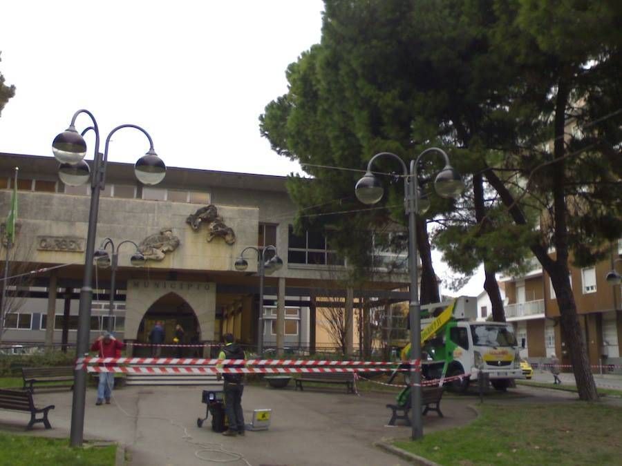 Garbagnate, Natale senza pini davanti al Municipio. Il Sindaco: “Verranno abbattuti” garbagnate alberi