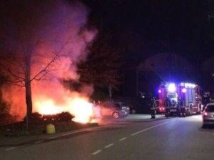 3351AD49 D9BF 4D98 AEFB 5A489D896A3A 300x225