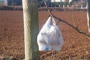 discarica gerenzano 300x200