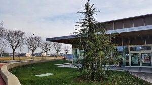 spelacchio arese 300x169