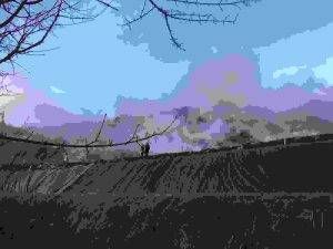 4DD13A9E BE95 409C B6FB 9B9F388C9212 300x225