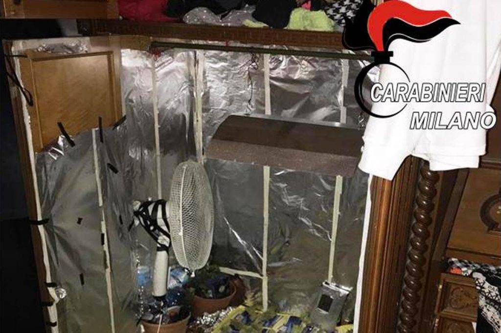 bb0bccad d27b 40dc 9d7a 6f96a94bdedc 1024x682