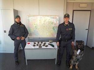 Guardia di Finanza cani