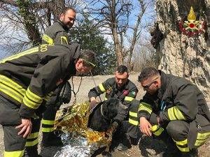 cane Viigli del fuoco