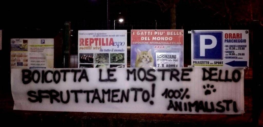 Gerenzano 1 1024x496