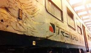 TRENORD Treno prima 300x177