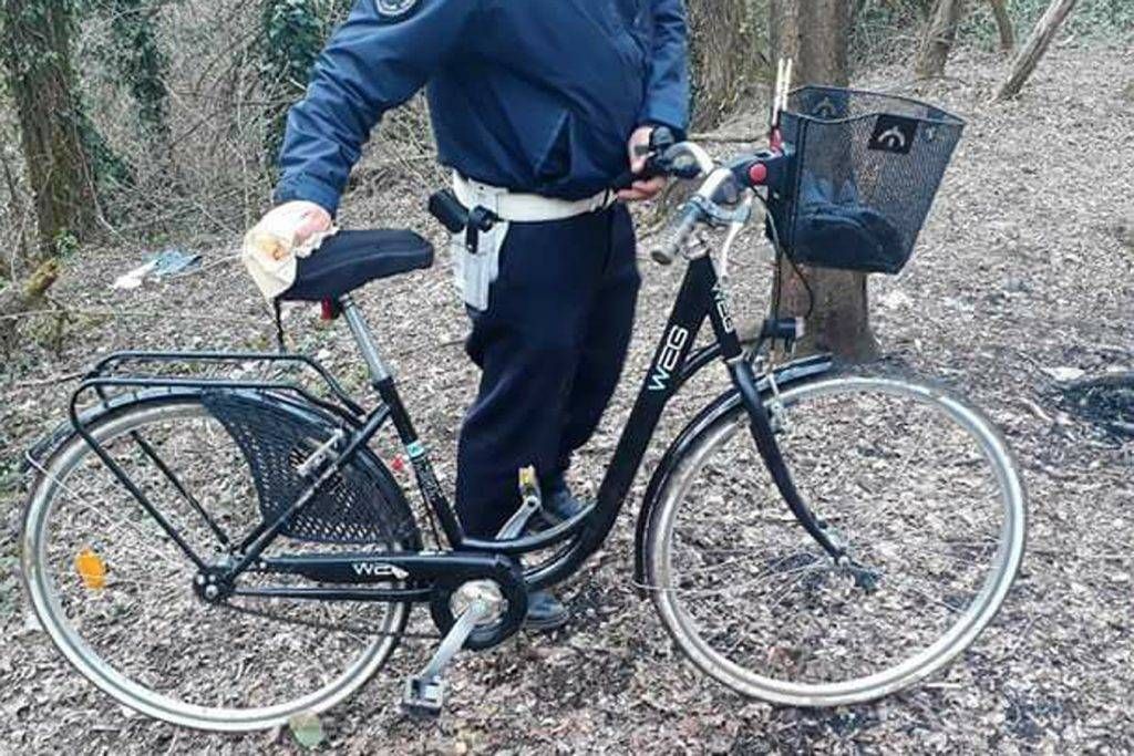 bici groane 1024x683