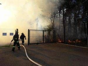 fiamme incendio parco groane 300x225