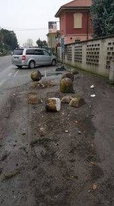 incidente bariola 167x300