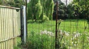 area verde campo nomadi 300x168