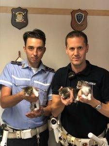 F8CC49F4 2F09 454A 93EE 8D0ED3919210 225x300