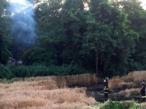 bollate incendio parco groane 300x225