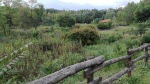 parco aironi 5 300x168