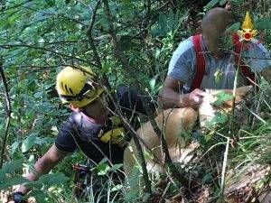 vvfcanecrepaccio 300x225