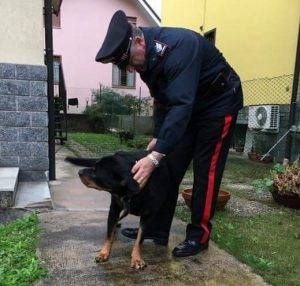 WhatsApp Image 2018 11 07 at 11.39.30 300x286