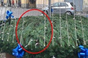 natale paderno 300x200