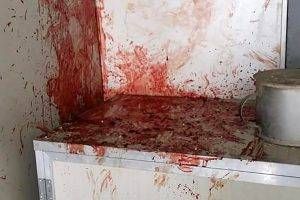 cani paderno dugnano 300x200