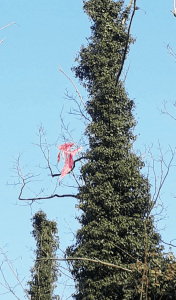 lampade cinesi 176x300