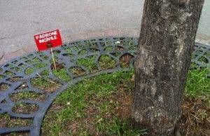 novate cacche padrone incivile 300x194