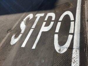 cesate segnaletica tapiro 300x225