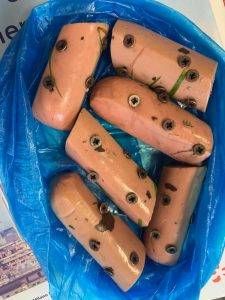 bocconi cani Limbiate