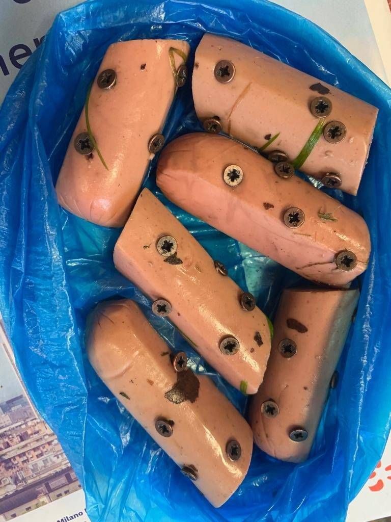 Bocconi con i chiodi per i cani; allarme tra i proprietari a Limbiate bocconi cani Limbiate