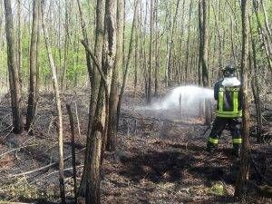 vigili del fuoco parco incendio
