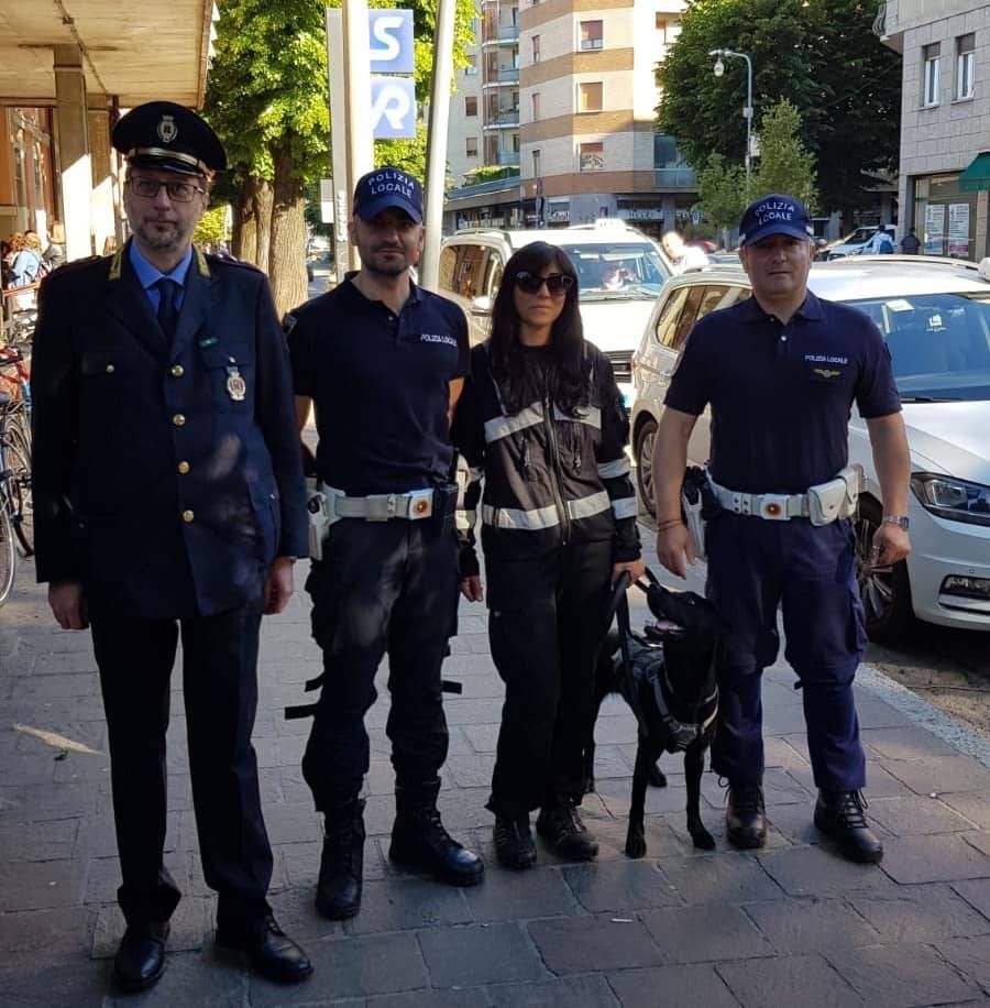 Cane antidroga in azione coi vigili, Saronno controllati gli studenti Saronno cane antidroga