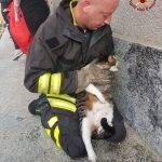 Malnate vigili del fuoco