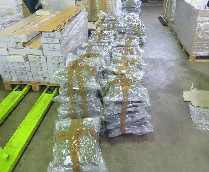In magazzino 150 kg di marijuana; la Finanza arresta 2 spacciatori a Sesto Guardi di Finanza Sesto