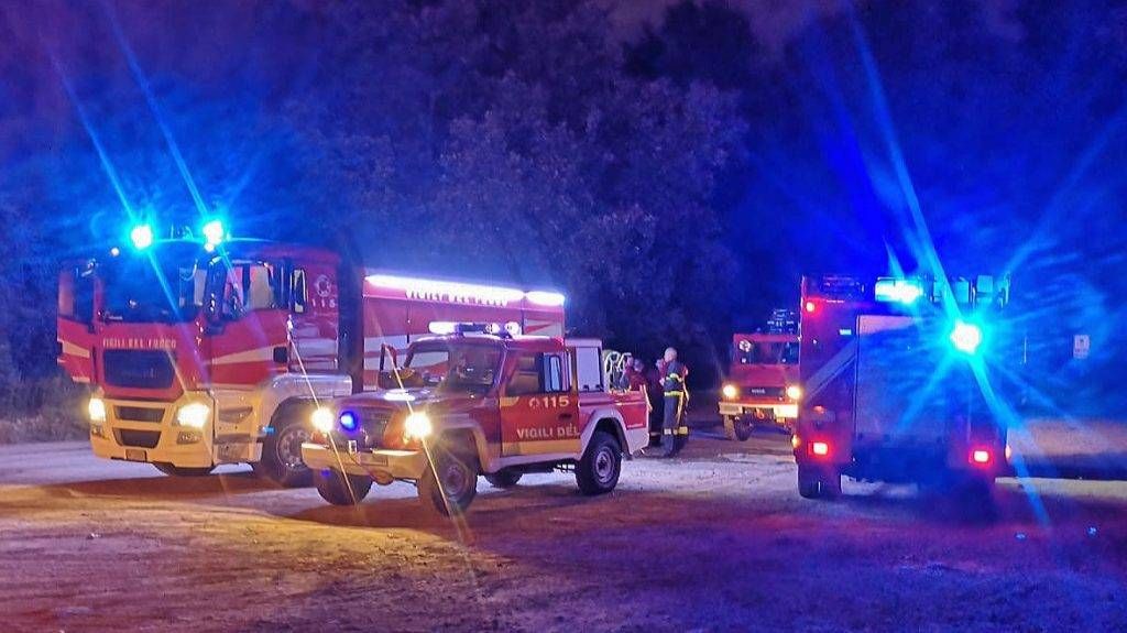Fuoco nel Parco delle Groane a Ceriano, è il secondo incendio nelle ultime 48 ore incendio boschi ceriano