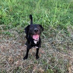 67091651 418698805518572 3207199255567532032 n 300x300