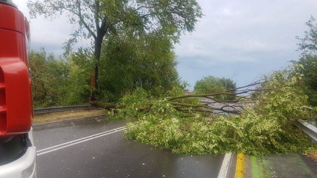 albero caduto garbagnate 1024x576