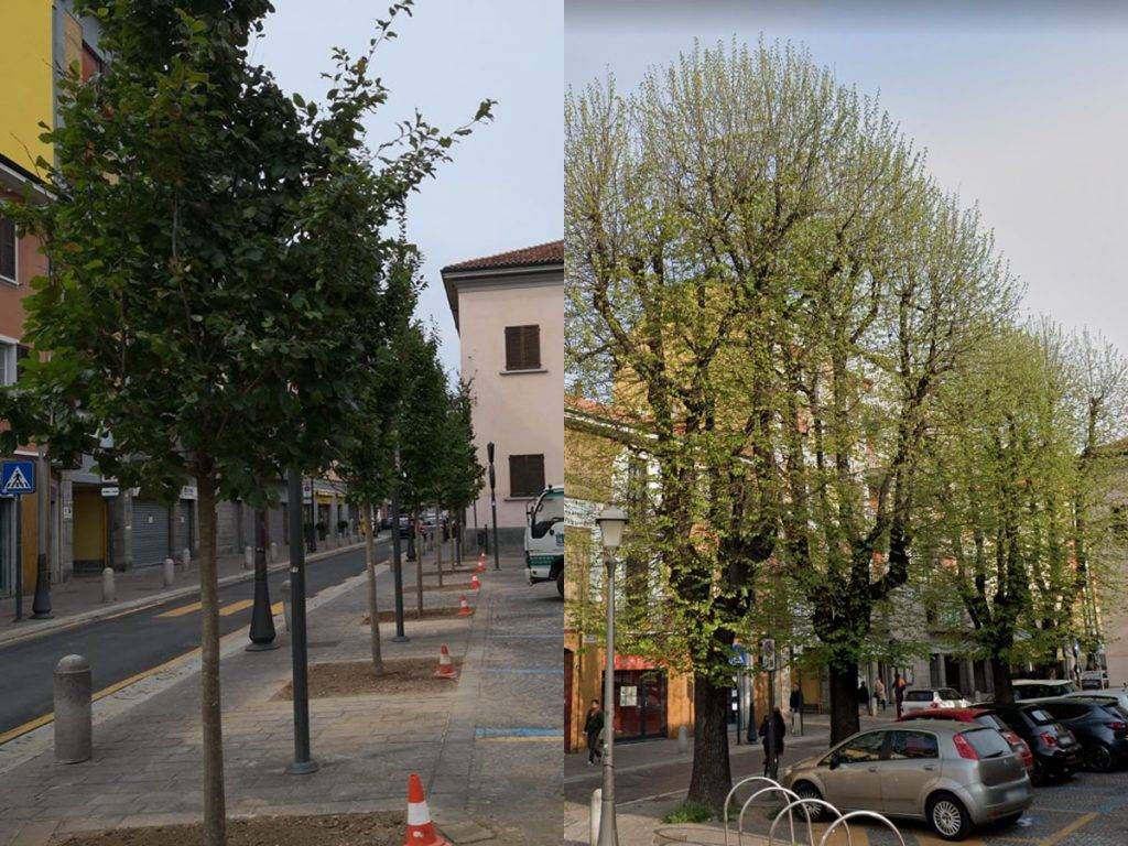 bollate piazza libertà 1024x768