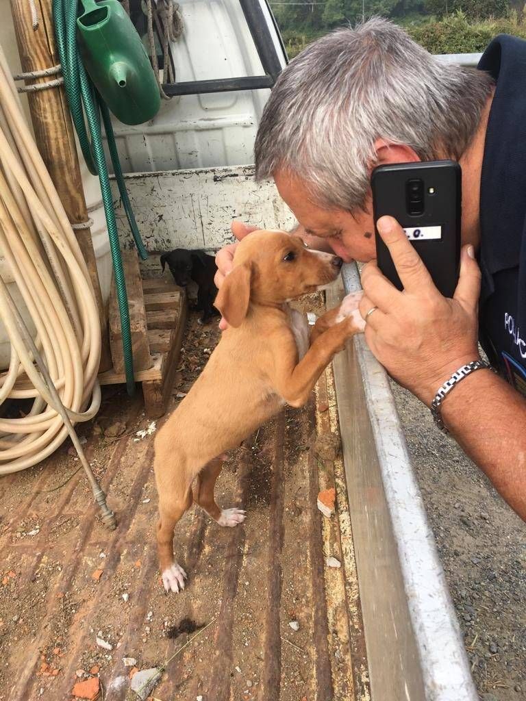 04de49a7 a521 456f 9dba 2d68f08880b0 768x1024