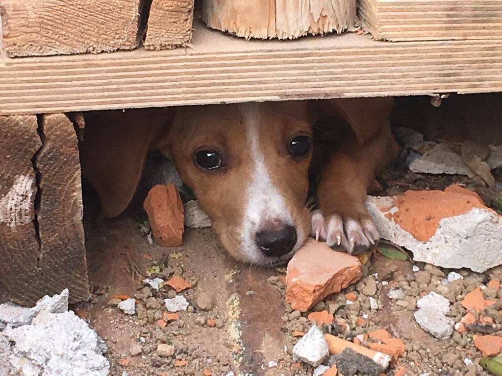 2918ba3e c31a 46e6 aafd e1e94a536b50 1024x768