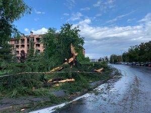 temporale alberi caduti 300x225