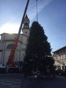 Lazzate albero Natale