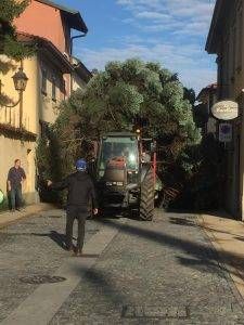 Lazzate albero Natale