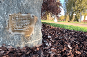 amici viale gabatti paderno 300x197