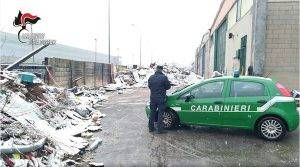 discarica abusiva forestale