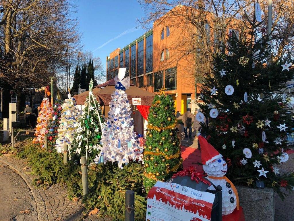 Senago, Grinch rovina la festa: rubato un albero di Natale dei Rioni albero natale senago 1024x768