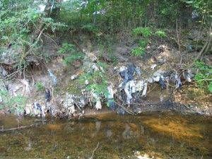 28 06 2014 006 300x225