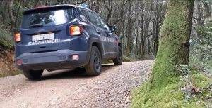carabinieri bosco auto