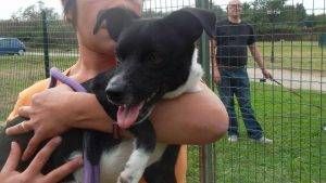 1966910 1507038692881249 8210034294546451084 n 300x169