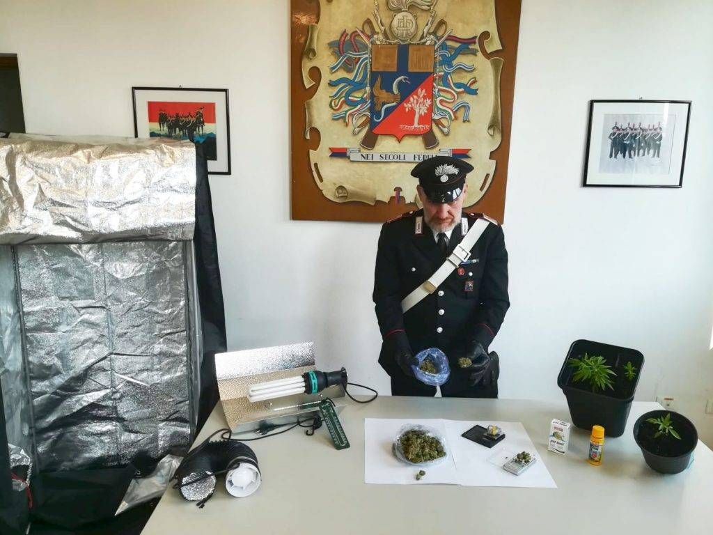 Materiale sequestrato 1024x768