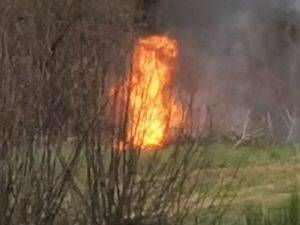 WhatsApp Image 2020 03 28 at 15.12.22 1 300x225